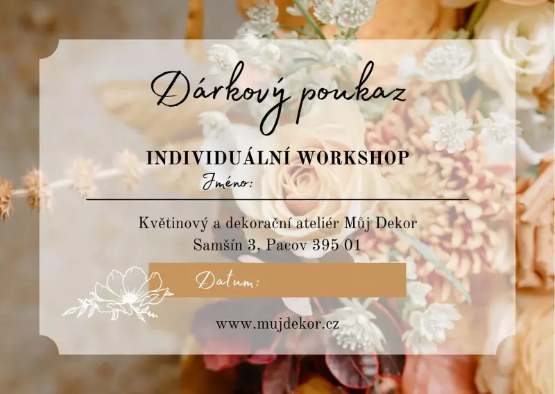 INDIVIDUÁLNÍ WORKSHOP